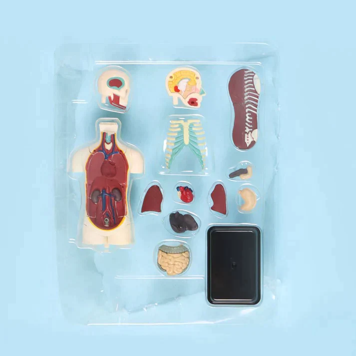 صورة مصغرة 2