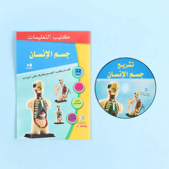 تشريح جسم الإنسان - Image 3