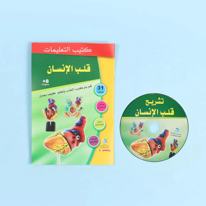 تشريح القلب - Image 3