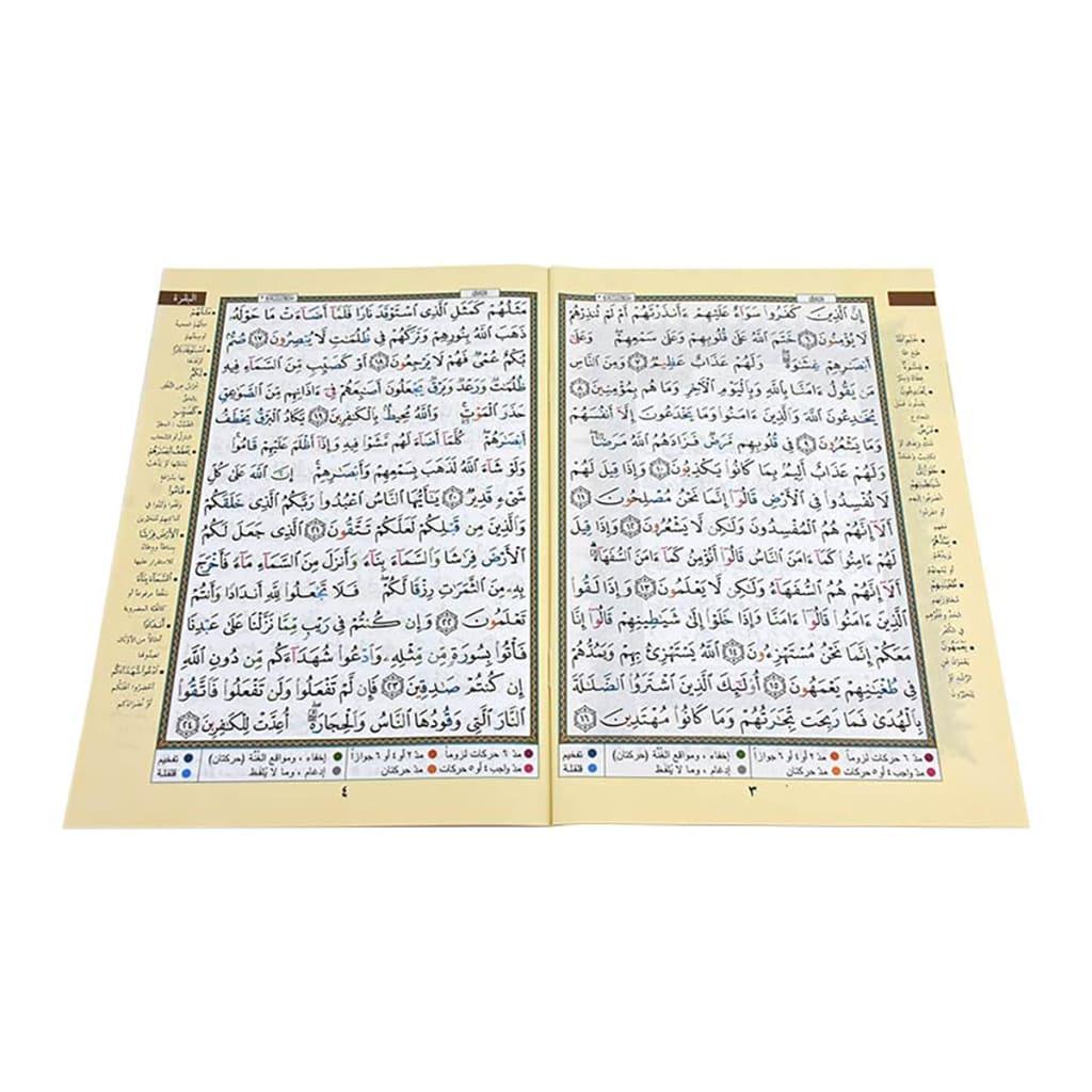 صورة مصغرة 2